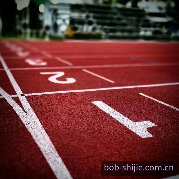 BOB国际版全球访问节点与多区连接通道拓扑视图